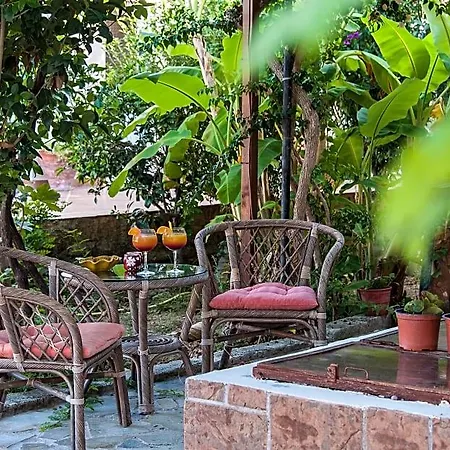 Zante Apartament *