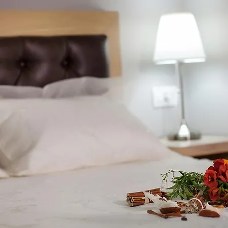 Zante * アリカナス