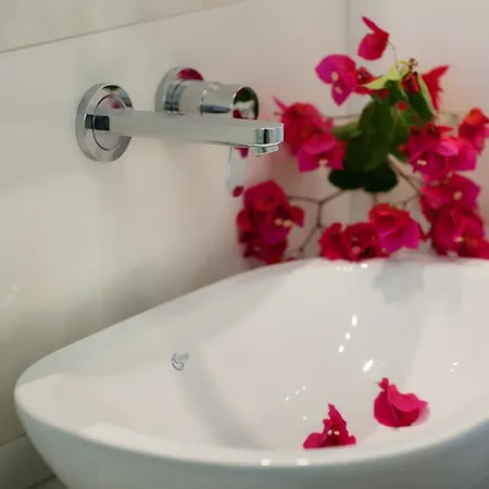 Zante * アリカナス