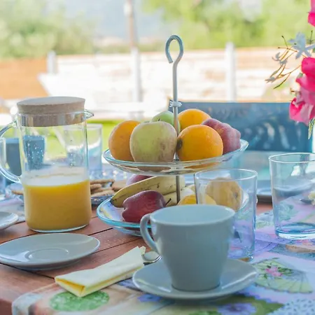 Zante * アリカナス