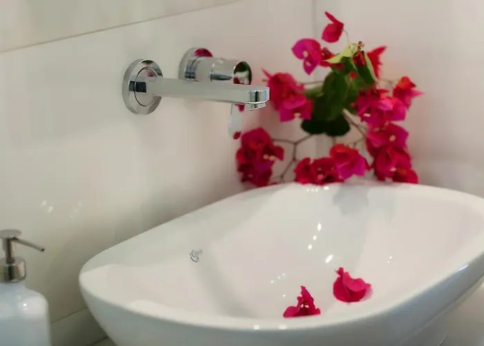 Zante * אליקאנאס